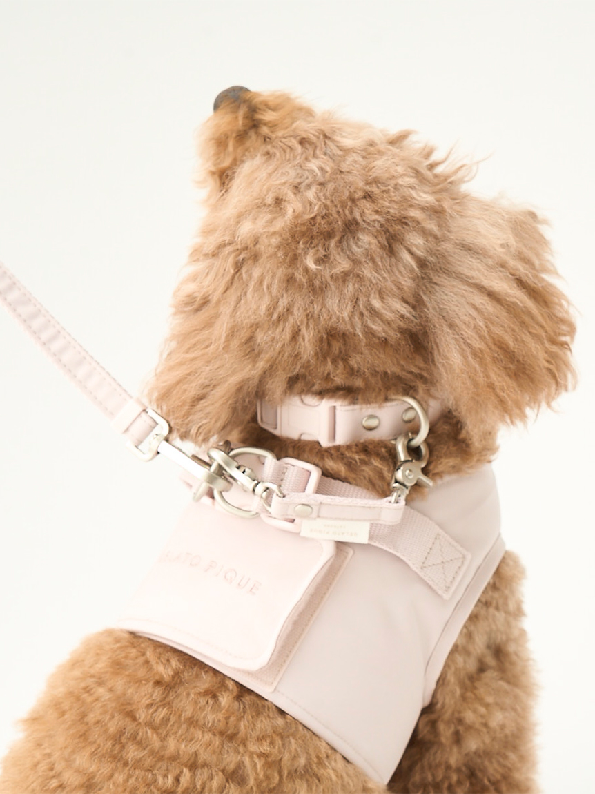 gelato pique（ジェラートピケ）【CAT&DOG】【販路限定商品】CAT&DOG ジョイント｜全2色