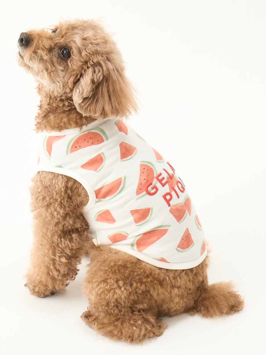 gelato pique（ジェラートピケ）【CAT&DOG】【販路限定商品】スイカ柄COOLウェア