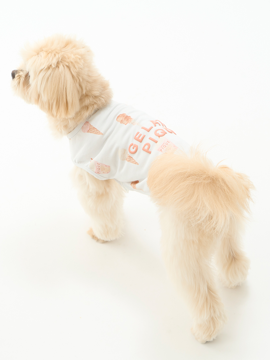 gelato pique（ジェラートピケ）【CAT&DOG】【販路限定商品】アイス柄COOLウェア｜全2色