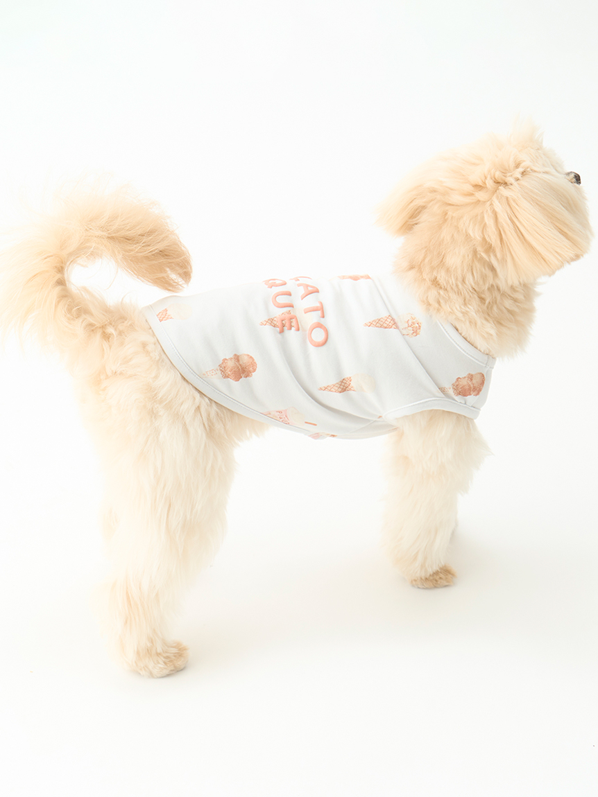 gelato pique（ジェラートピケ）【CAT&DOG】【販路限定商品】アイス柄COOLウェア｜全2色
