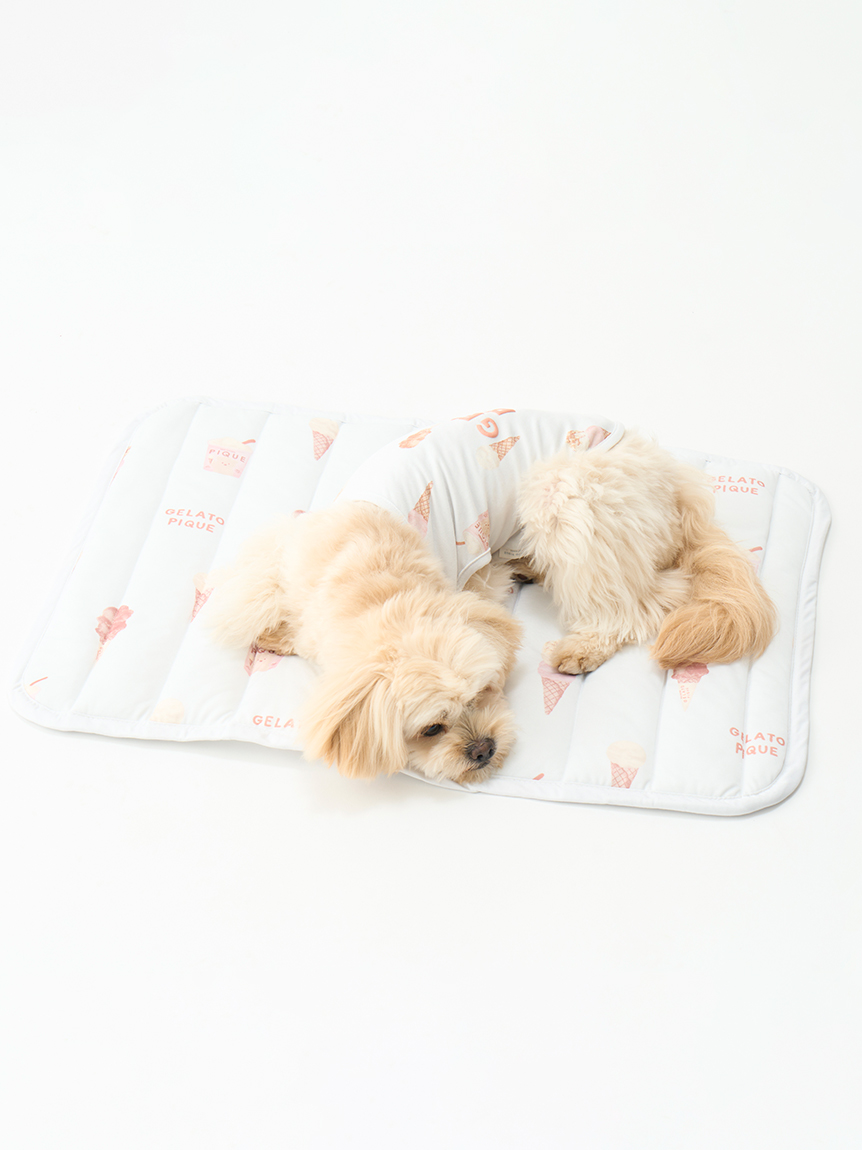 gelato pique（ジェラートピケ）【CAT&DOG】【販路限定商品】アイス柄COOLウェア｜全2色