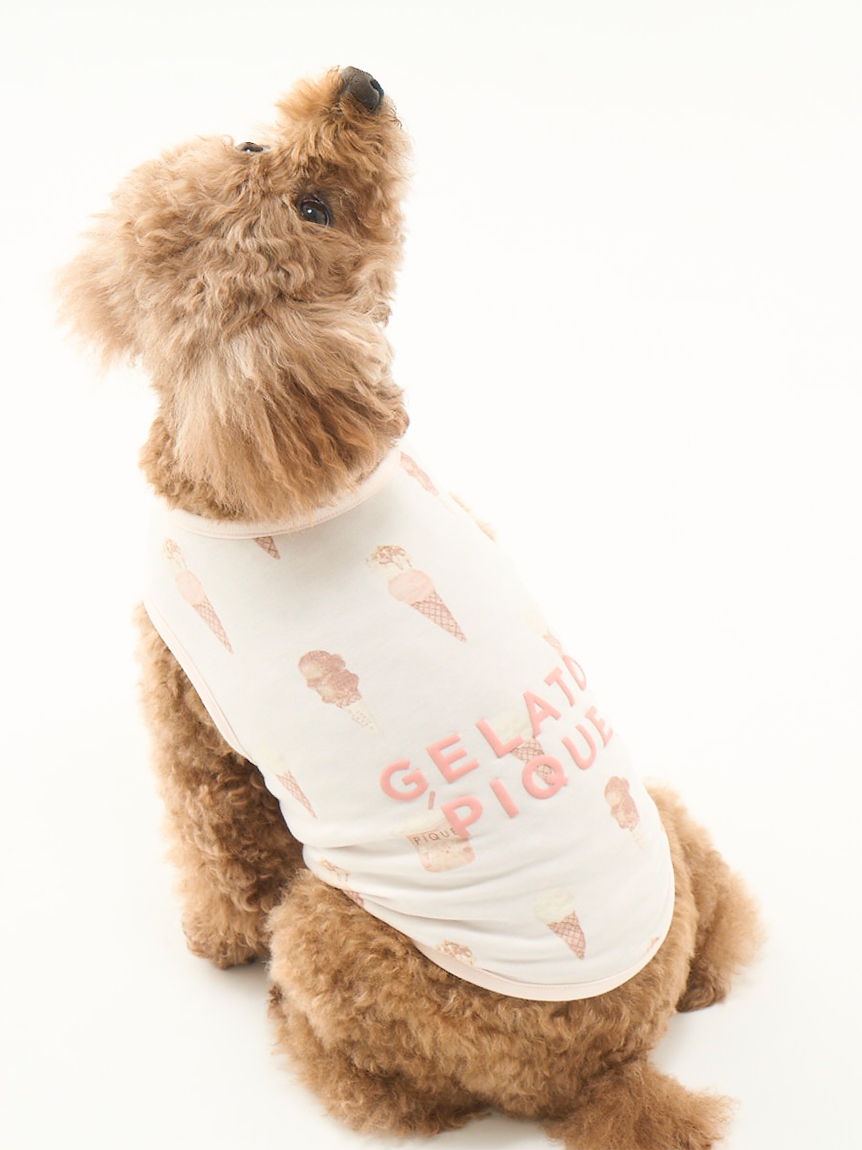 gelato pique（ジェラートピケ）【CAT&DOG】【販路限定商品】アイス柄COOLウェア｜全2色