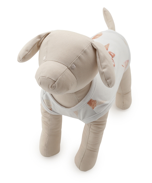 gelato pique（ジェラートピケ）【CAT&DOG】【販路限定商品】アイス柄COOLウェア｜全2色