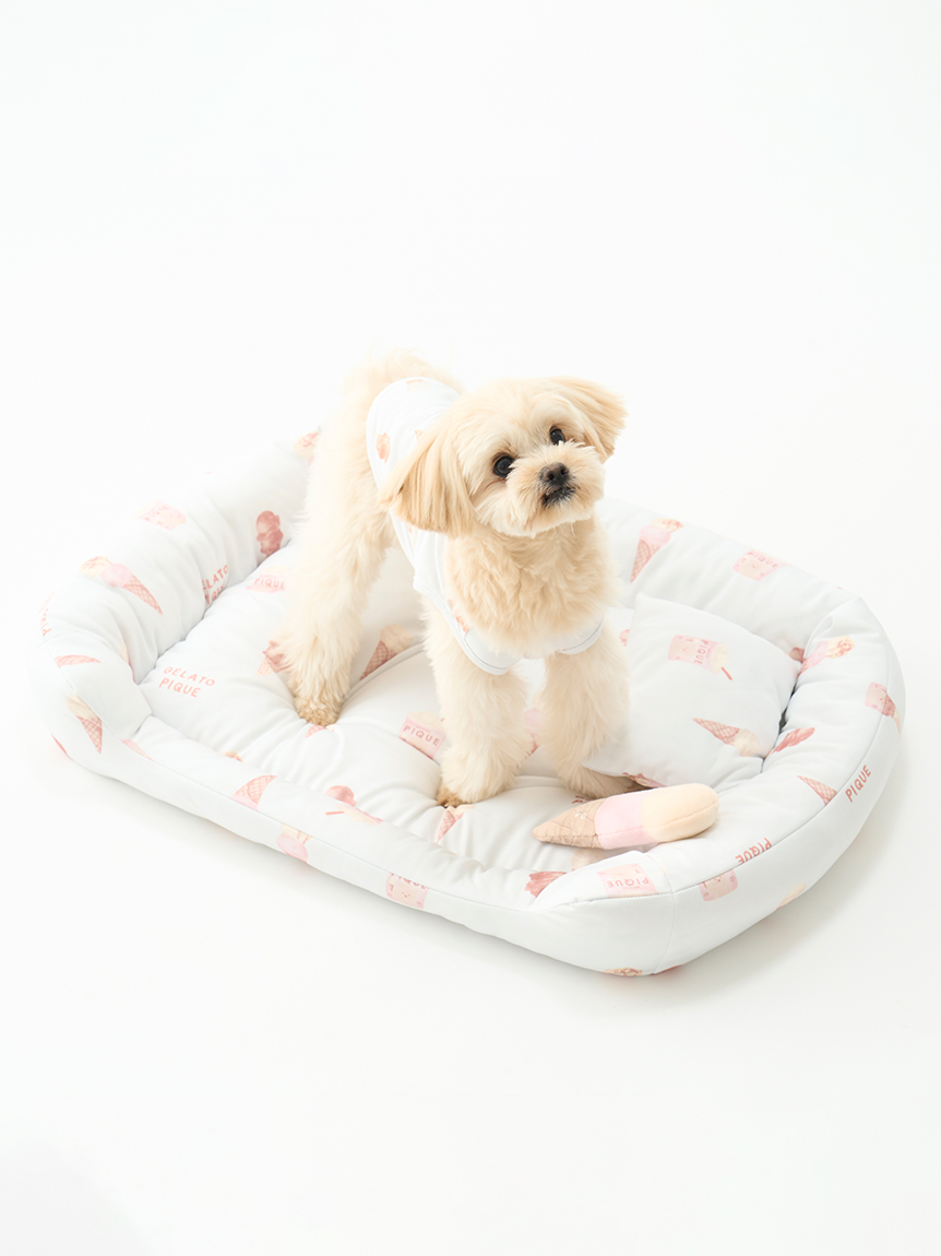 gelato pique（ジェラートピケ）【CAT&DOG】【販路限定商品】アイス柄COOLベッド Mサイズ｜全2色