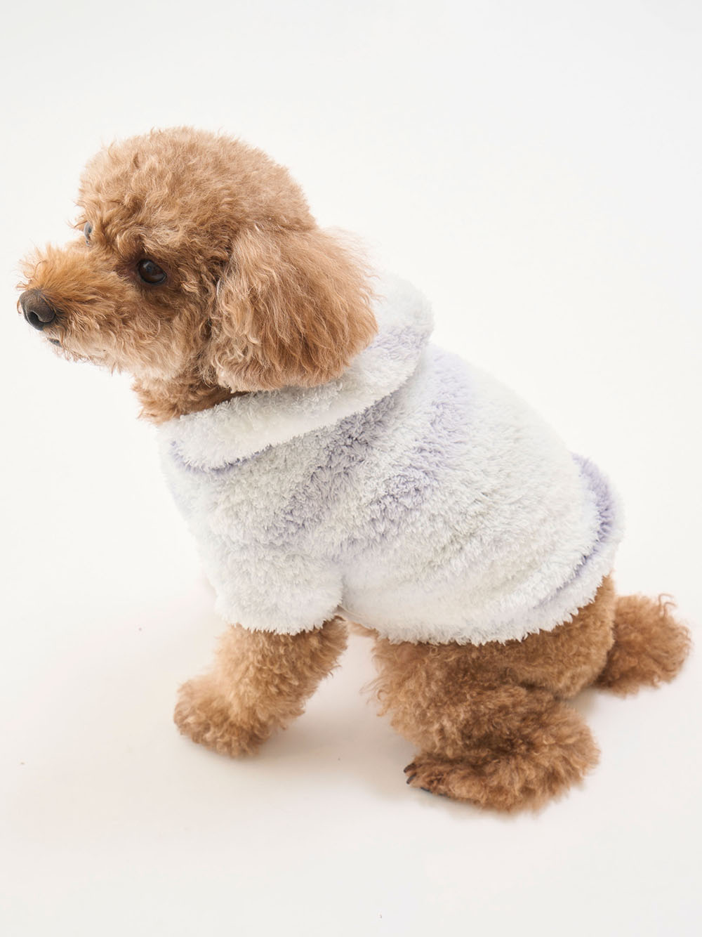 犬服 ドッグウェアブランド専門店 Calulu カルル 公式ペット用品通販サイト