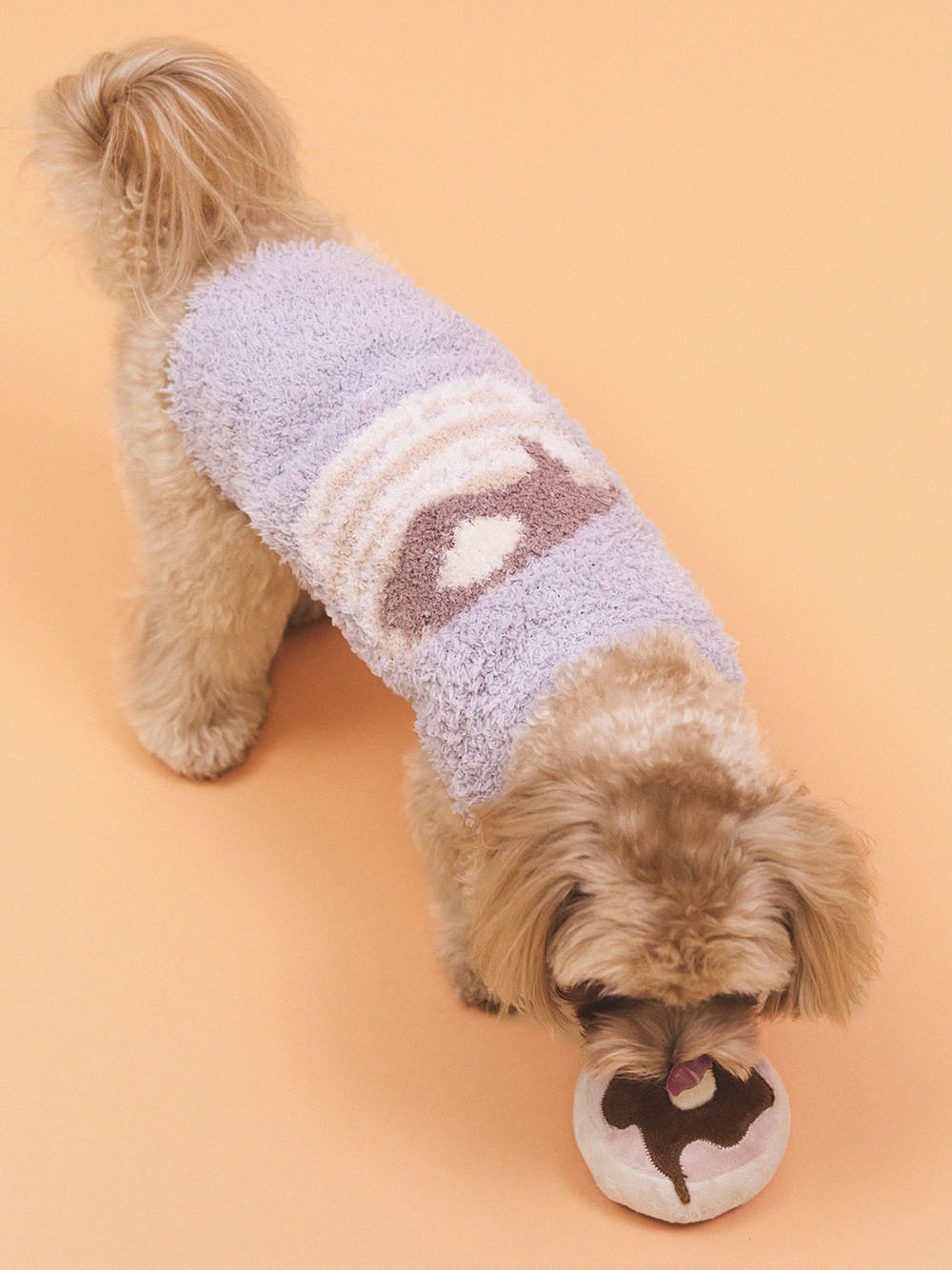 犬服の選び方 愛犬に服を着せるメリットは 暑さや寒さ対策 防虫 ケガ予防 マナーとしてもおすすめ
