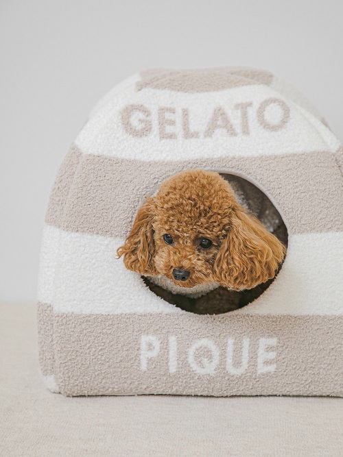 gelato pique（ジェラートピケ）【CAT&DOG】【販路限定商品】ベビモコハウス｜全3色