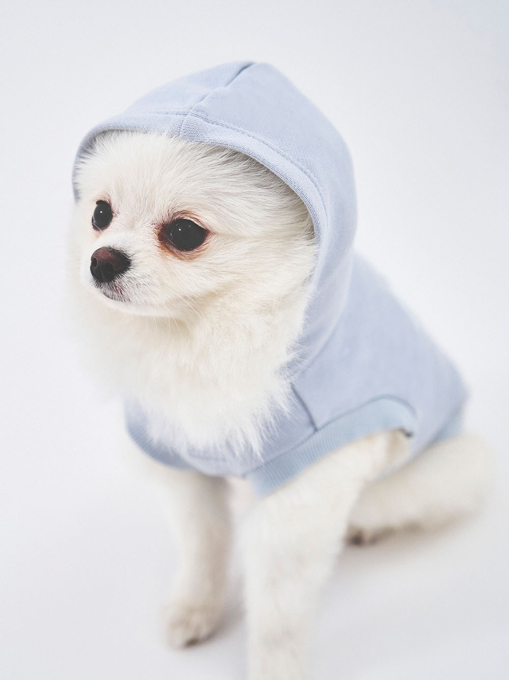 gelato pique（ジェラートピケ）【CAT&DOG】【販路限定商品】裏毛フーディー｜全3色
