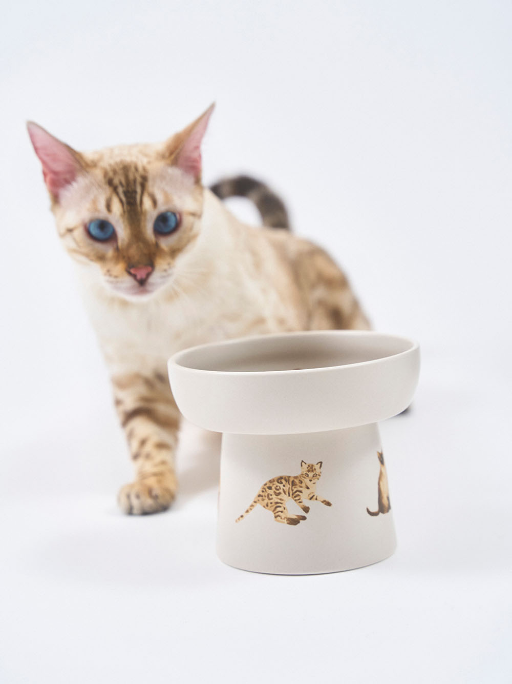 gelato pique（ジェラートピケ）【CAT&DOG】【販路限定商品】ねこ柄フードボウル