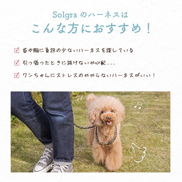 Solgra（ソルグラ）バイカラーコードハーネス｜全4色