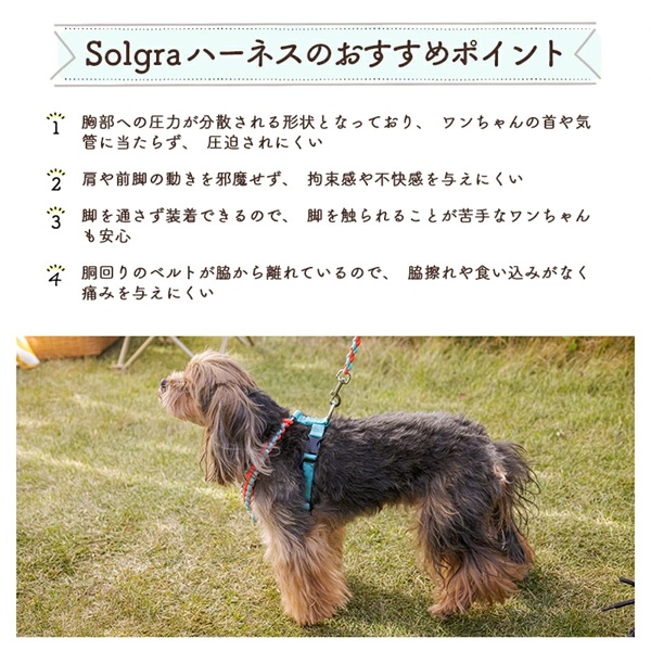 Solgra（ソルグラ）バイカラーコードハーネス｜全4色