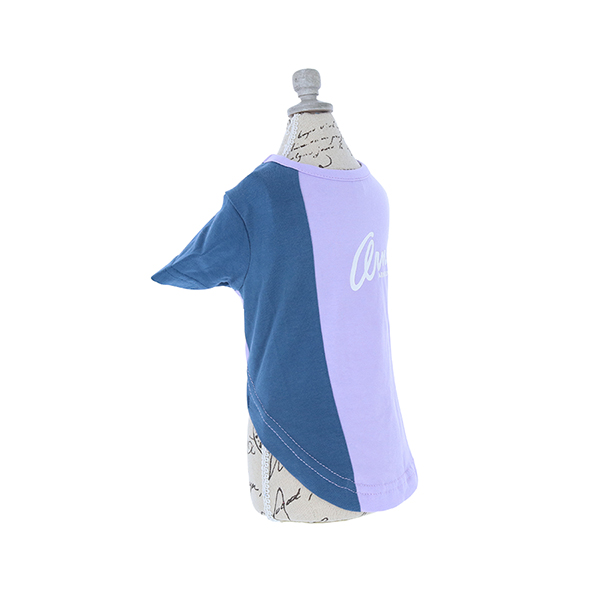 2022春夏 Arnold Palmer（アーノルドパーマー）バイカラーTシャツ