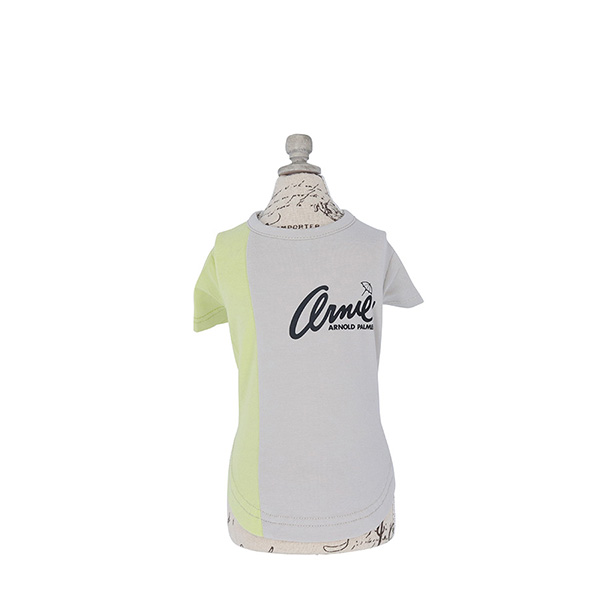 2022春夏 Arnold Palmer（アーノルドパーマー）バイカラーTシャツ
