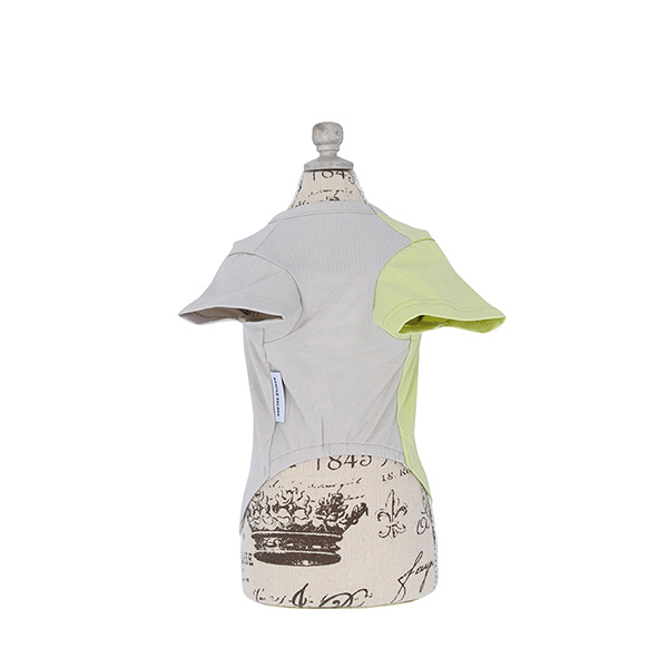 2022春夏 Arnold Palmer（アーノルドパーマー）バイカラーTシャツ