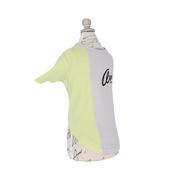 Arnold Palmer（アーノルドパーマー）バイカラーTシャツ