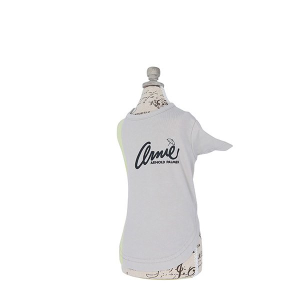 2022春夏 Arnold Palmer（アーノルドパーマー）バイカラーTシャツ