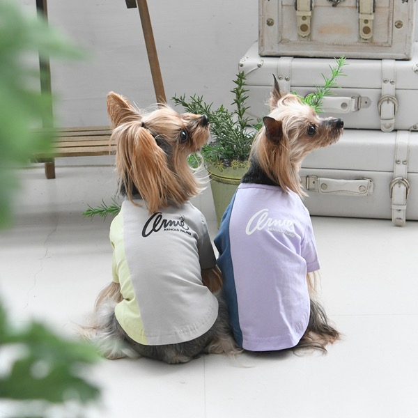 2022春夏 Arnold Palmer（アーノルドパーマー）バイカラーTシャツ | 犬服・ドックウェアCalulu(カルル)
