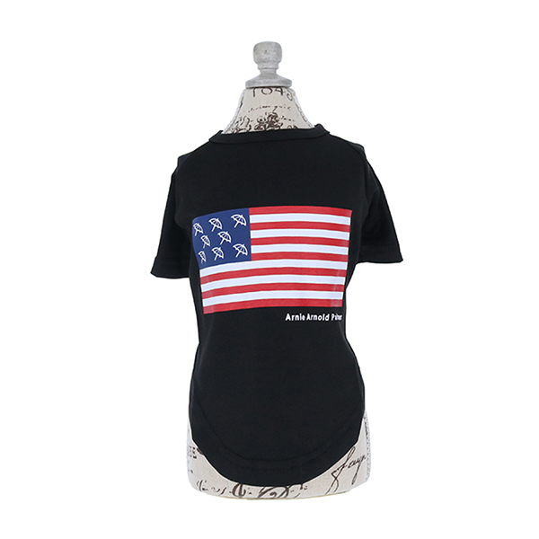 2023春夏 Arnold Palmer（アーノルドパーマー）星条旗Tシャツ