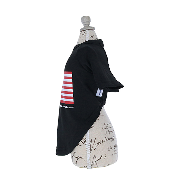 2023春夏 Arnold Palmer（アーノルドパーマー）星条旗Tシャツ