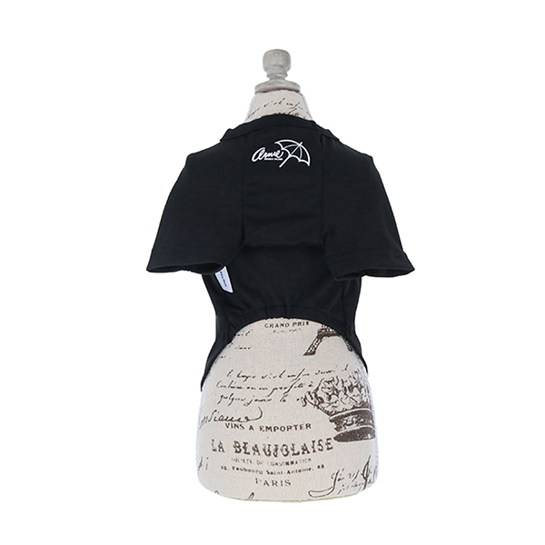 2023春夏 Arnold Palmer（アーノルドパーマー）星条旗Tシャツ