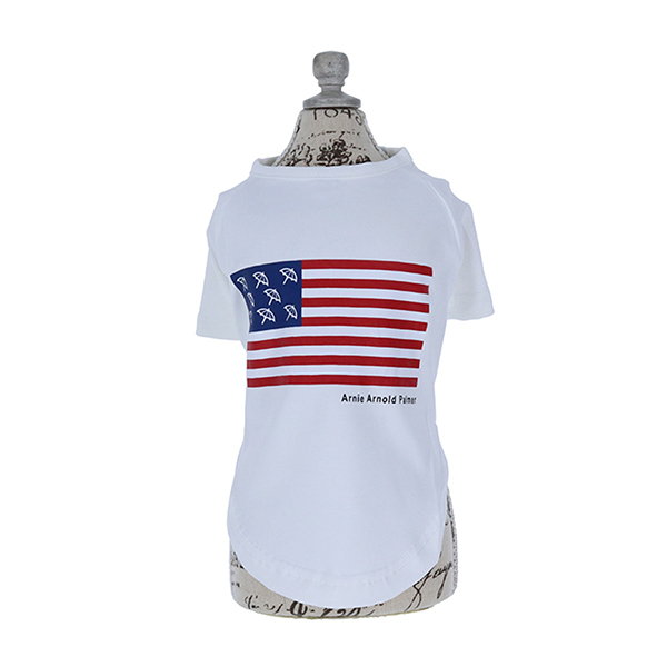2023春夏 Arnold Palmer（アーノルドパーマー）星条旗Tシャツ