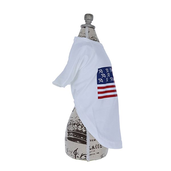 2023春夏 Arnold Palmer（アーノルドパーマー）星条旗Tシャツ