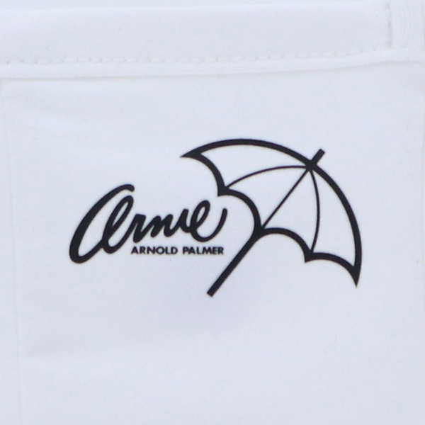2023春夏 Arnold Palmer（アーノルドパーマー）星条旗Tシャツ