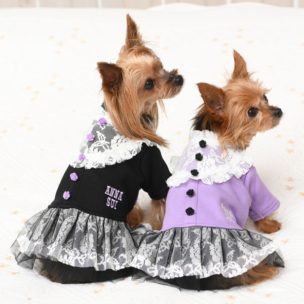 Anna Sui アナ スイ レース ワンピース パープル 2l Dmサイズのみ 犬服 ドックウェアcalulu カルル