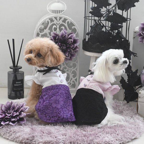 新品★未使用 ANNA SUI アナスイ ファーワンピース M ブラック 愛犬用