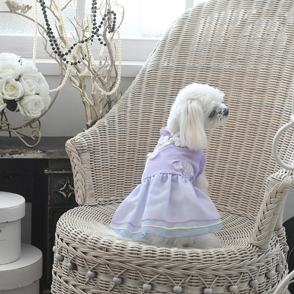 2022 ANNA SUI（アナ スイ）チャイナディテールワンピース