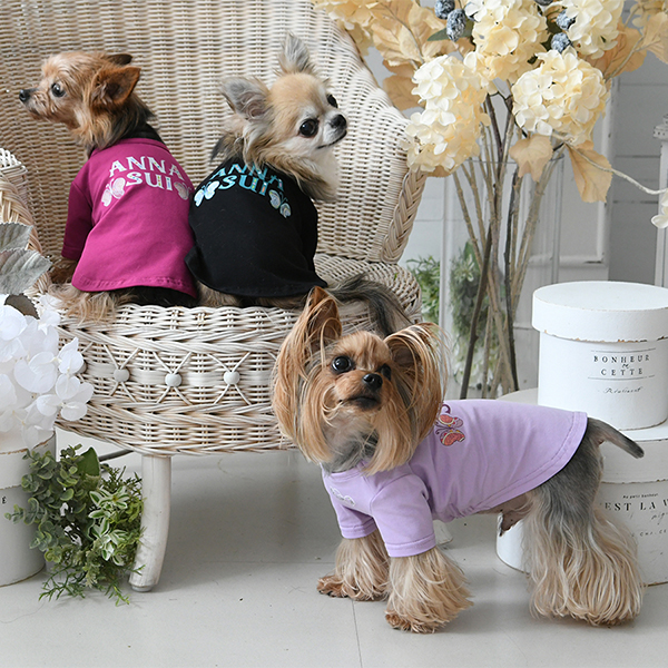 【パピー・超小型犬用】ANNA SUI（アナ スイ）ボヘミアンロゴＴシャツ