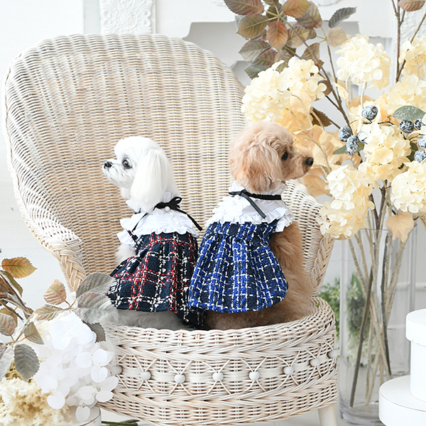 2022 ANNA SUI（アナ スイ）ツイードワンピース | 犬服・ドックウェア