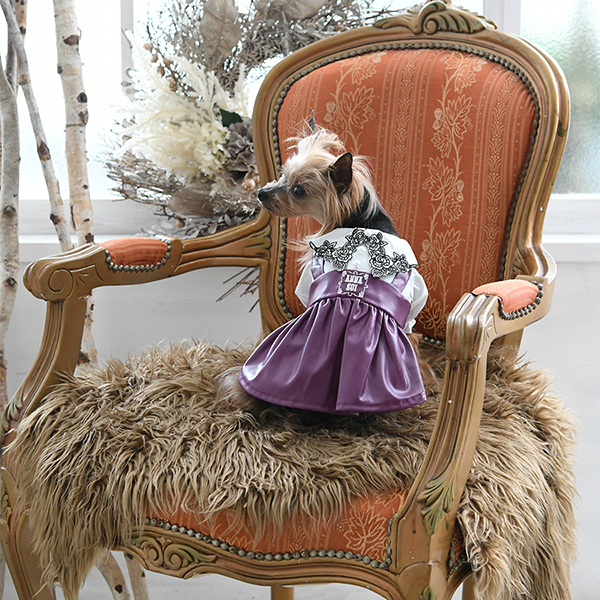 2022 ANNA SUI（アナ スイ）フェイクレザープリーツワンピース