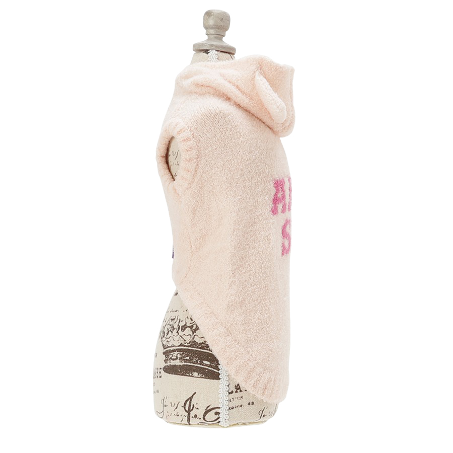 2025新商品 ANNA SUI（アナ スイ）猫耳ルームウェア