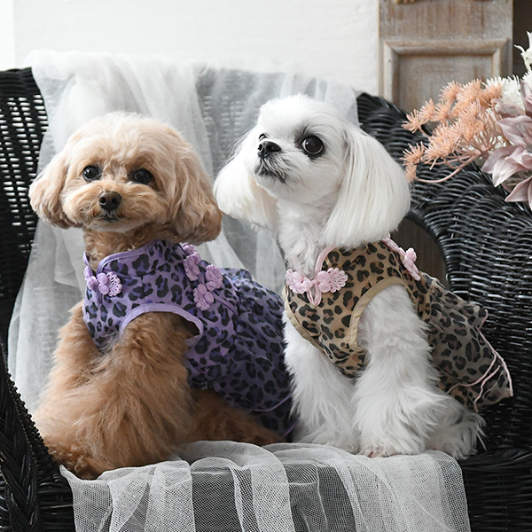 ANNA SUI（アナ スイ）ヒョウ柄チャイナワンピース