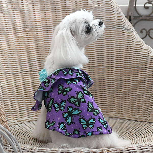 ANNA SUI（アナ スイ）バタフライプリントスイムウェア