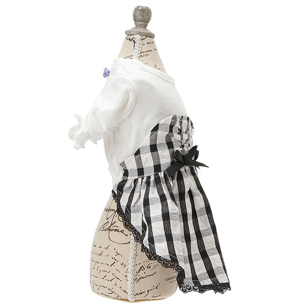 2025新商品 ANNA SUI（アナ スイ）ギンガムチェックドッキングワンピ