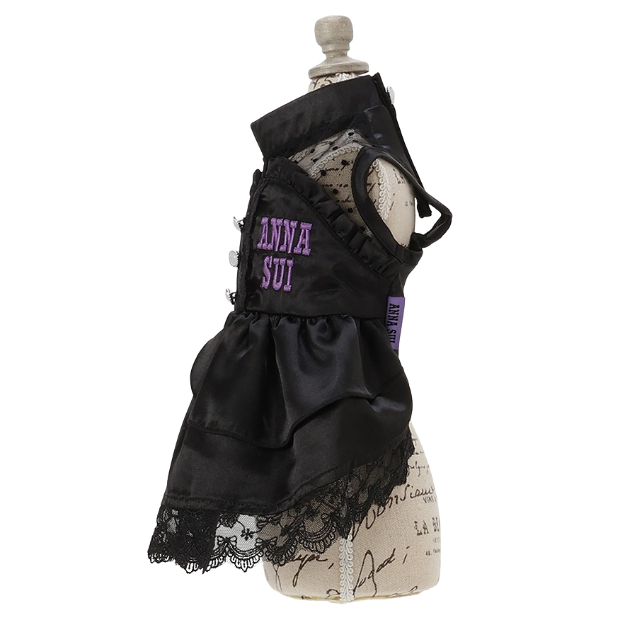 2025新商品 ANNA SUI（アナ スイ）サテンドレス