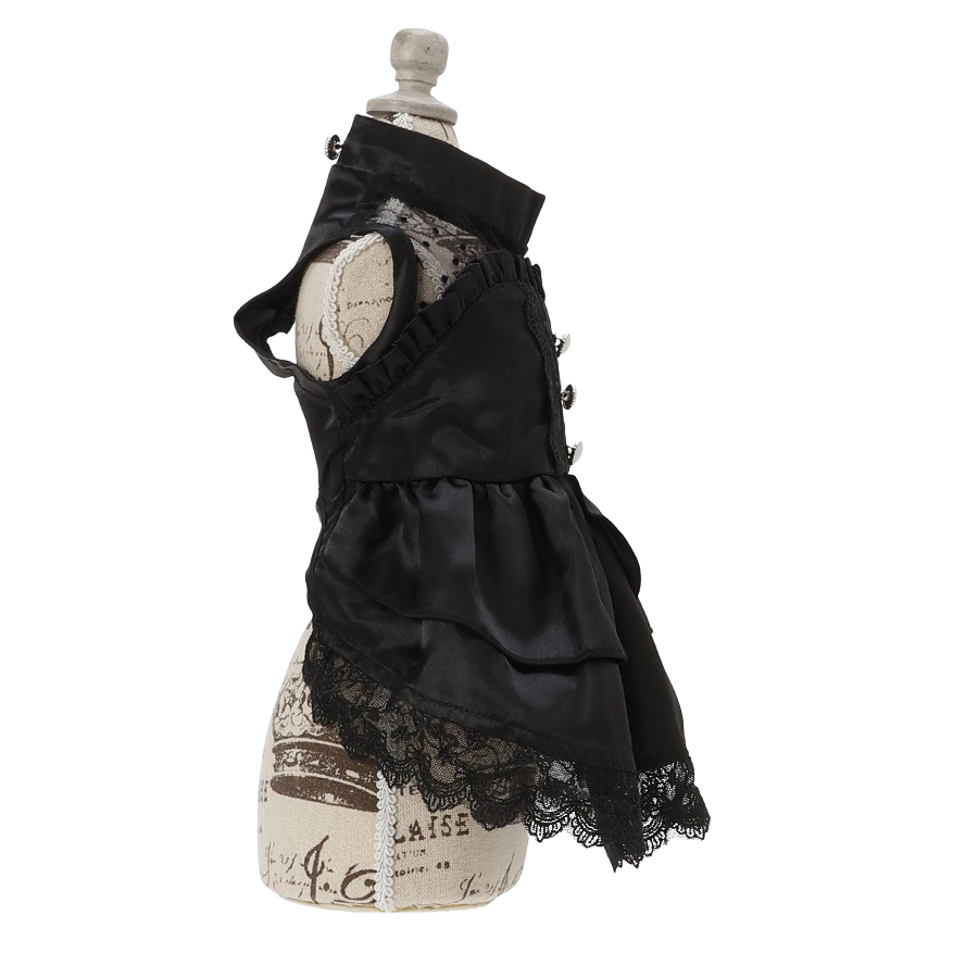 2025新商品 ANNA SUI（アナ スイ）サテンドレス