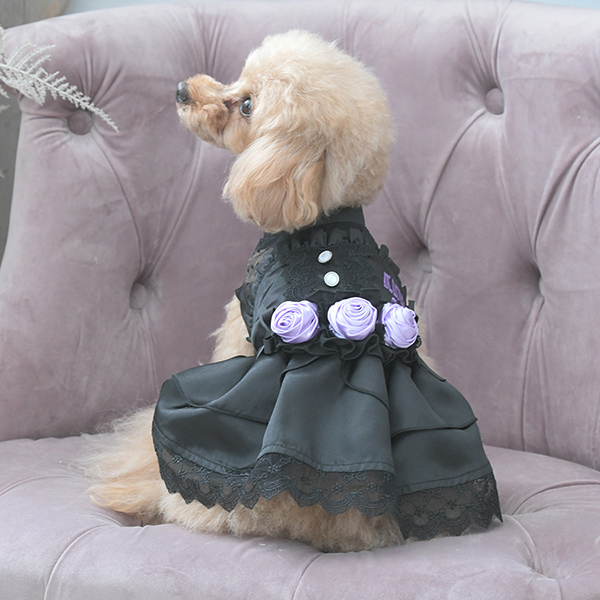 2025新商品 ANNA SUI（アナ スイ）サテンドレス