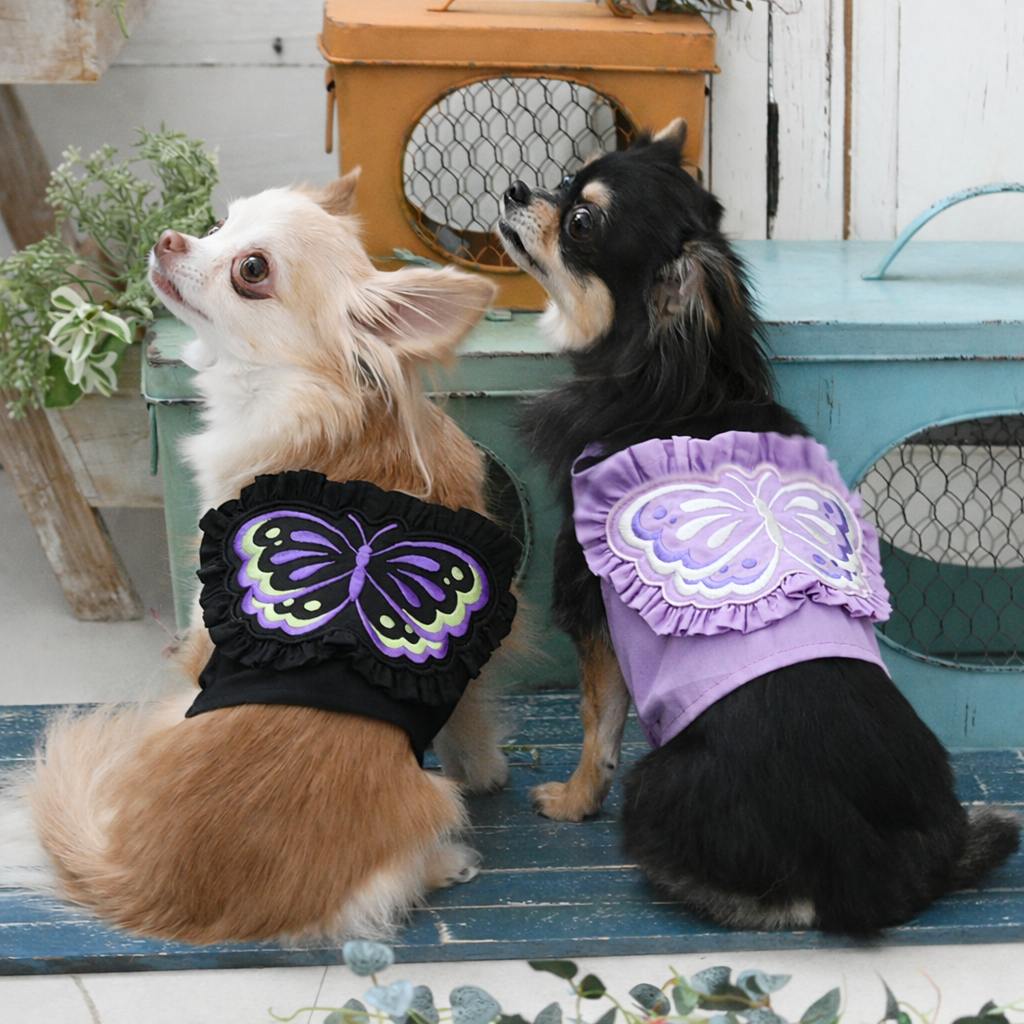 2026新商品 ANNA SUI（アナ スイ）バタフライキャミ（ミニ丈）