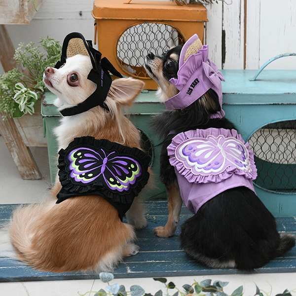 2026新商品 ANNA SUI(アナ スイ)バタフライキャミ(ミニ丈)