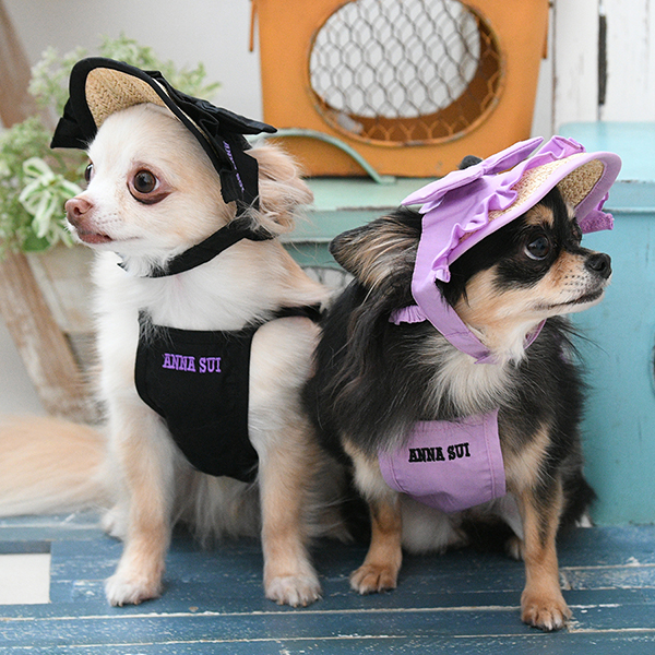 2026新商品 ANNA SUI(アナ スイ)バタフライキャミ(ミニ丈)