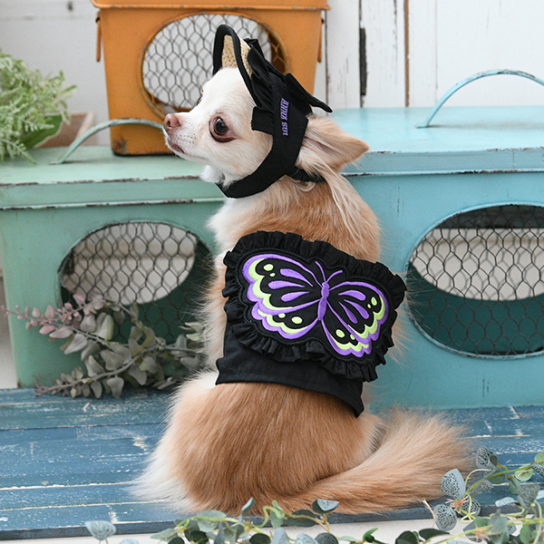 2026新商品 ANNA SUI(アナ スイ)バタフライキャミ(ミニ丈)