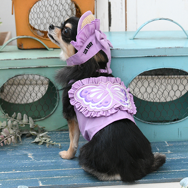 2026新商品 ANNA SUI(アナ スイ)バタフライキャミ(ミニ丈)