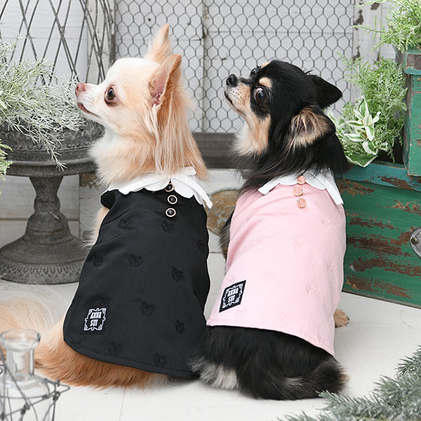 2026新商品 ANNA SUI（アナ スイ）バタフライ刺繍Ａラインワンピ