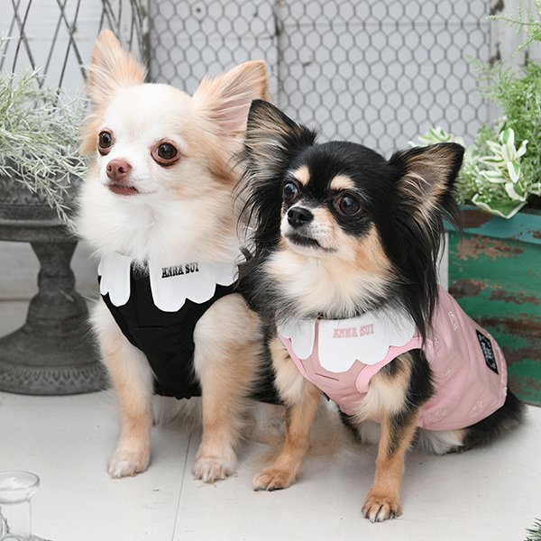 2026新商品 ANNA SUI(アナ スイ)バタフライ刺繍Aラインワンピ