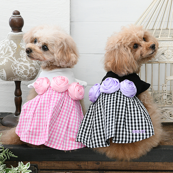 2026新商品 ANNA SUI（アナ スイ）バラコサージュギンガムチェックワンピ