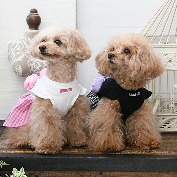 2026新商品 ANNA SUI(アナ スイ)バラコサージュギンガムチェックワンピ