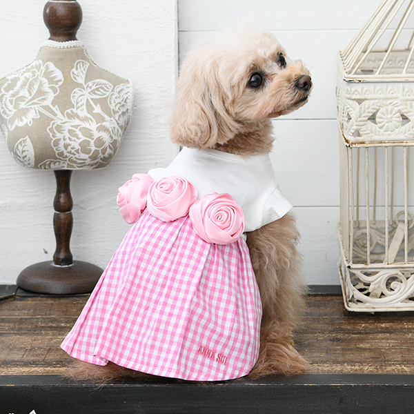 2026新商品 ANNA SUI(アナ スイ)バラコサージュギンガムチェックワンピ